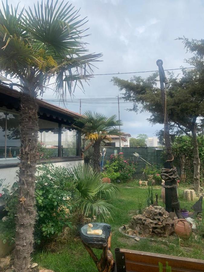 Hotel La Doi Pasi De Mare à Vama Veche Extérieur photo
