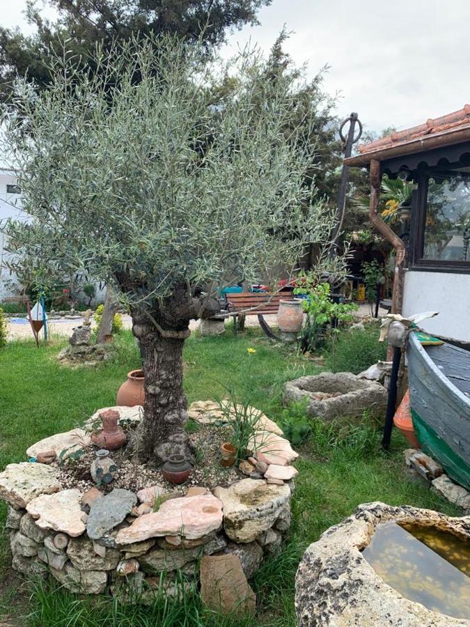 Hotel La Doi Pasi De Mare à Vama Veche Extérieur photo