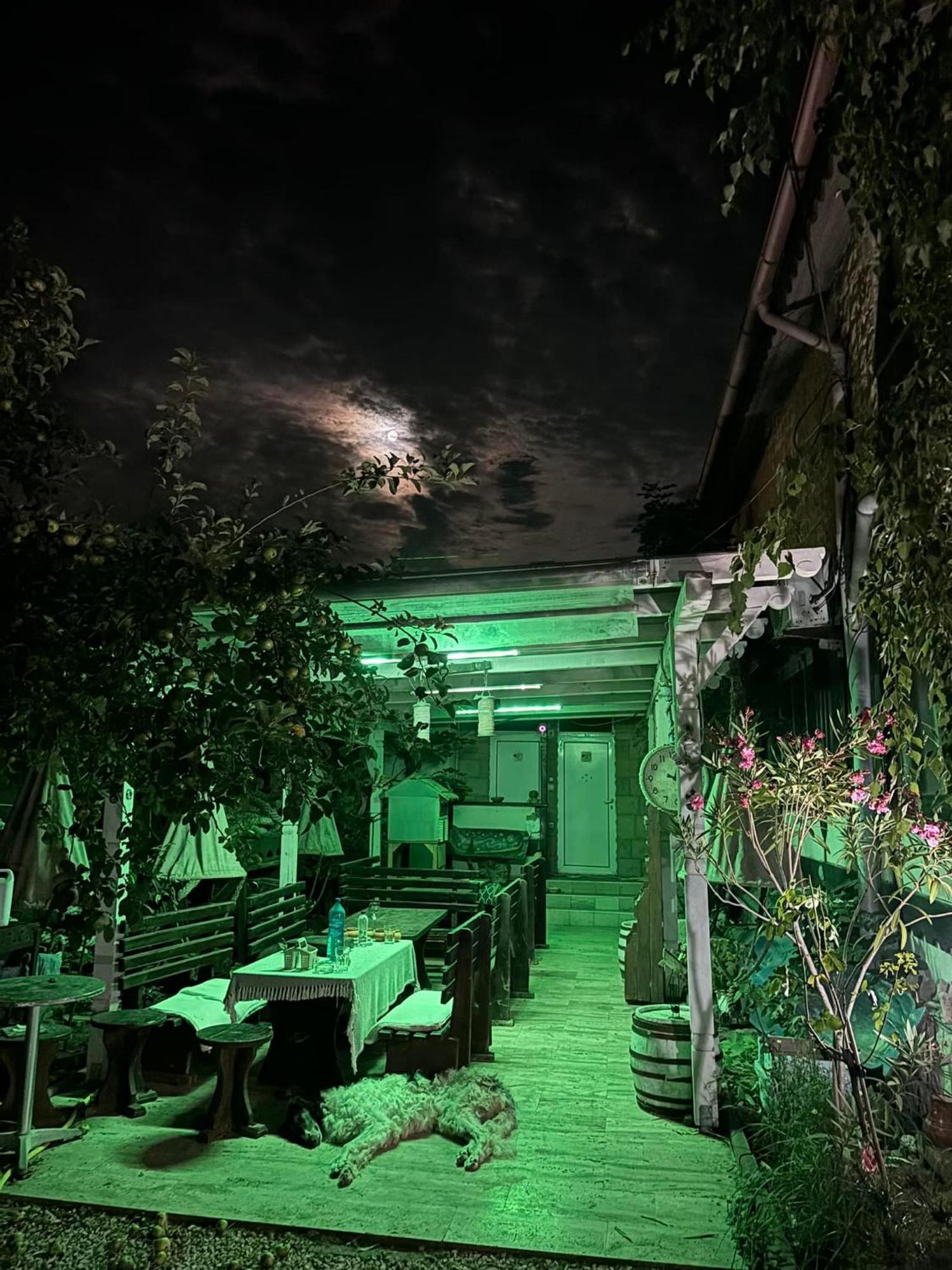 Hotel La Doi Pasi De Mare à Vama Veche Extérieur photo
